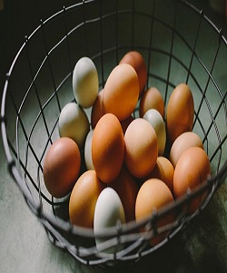 بازار تخم مرغ تا 10 روز آینده تنظیم می شود